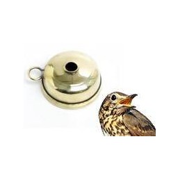 Richiamo per tordo tipo Valencia