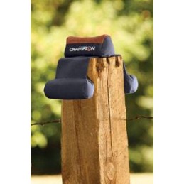 Rest Champion Monkey