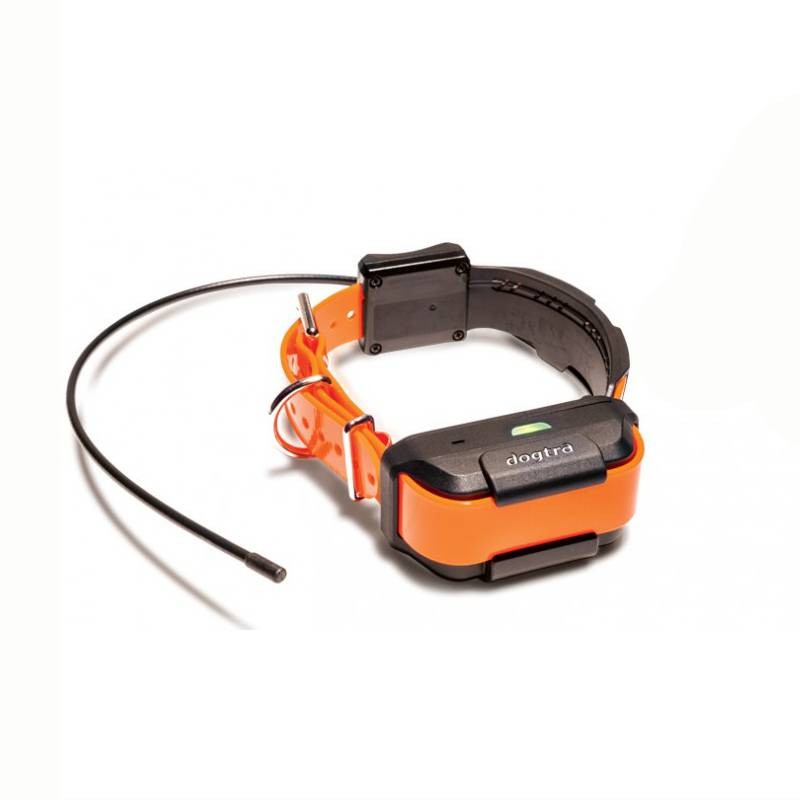 Collare + correzione GPS Dogtra Pathfinder satellitare