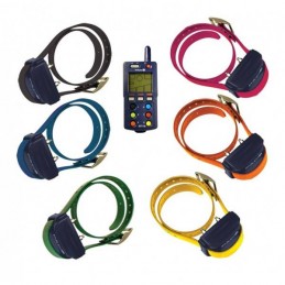 Collare Educativo Dogtra PAC EXT 6-3000