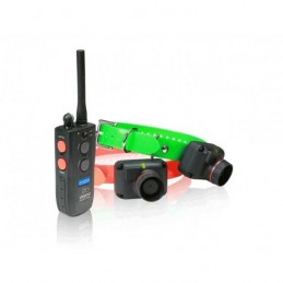 Collare di Addestramento e Beeper Dogtra 2502 T&B