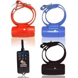 Beeper Cinotecnica RB 1