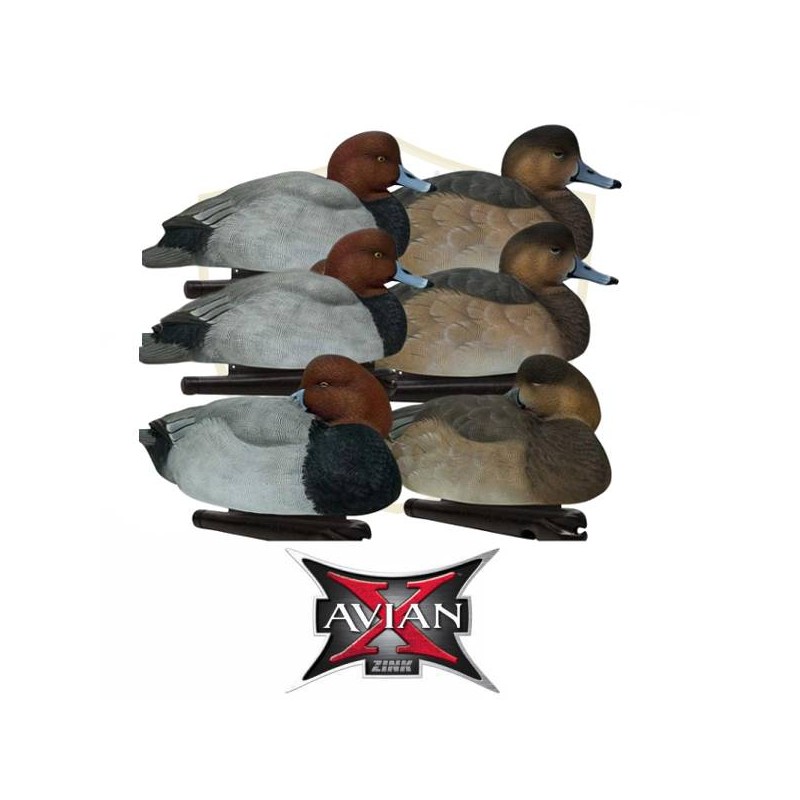 KIT stampi Avian-X Moriglione 8089