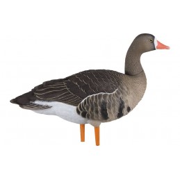 KIT stampi Avian-X Oca Lombardella Full Body 9014 KIT stampi Avian-X Oca Lombardella Full Body 9014