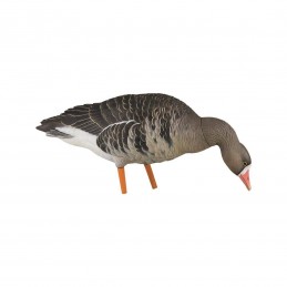 KIT stampi Avian-X Oca Lombardella Full Body 9014 KIT stampi Avian-X Oca Lombardella Full Body 9014