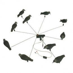 Giostra a 8 storni in pastura