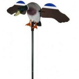 Germano ad ali girevoli ala piatta cm 46 German