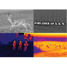 Ottica termica Clip On Predatherm 384 4.2-16x75 HD 50 hz