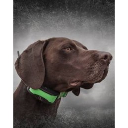 PROMO SHOCK TEK 1.5 Sistema di localizzazione GPS Sportdog TEK PROMO SHOCK TEK 1.5 Sistema di localizzazione GPS Sportdog TEK