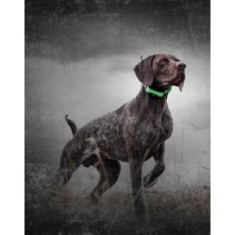 PROMO SHOCK TEK 1.5 Sistema di localizzazione GPS Sportdog TEK PROMO SHOCK TEK 1.5 Sistema di localizzazione GPS Sportdog TEK