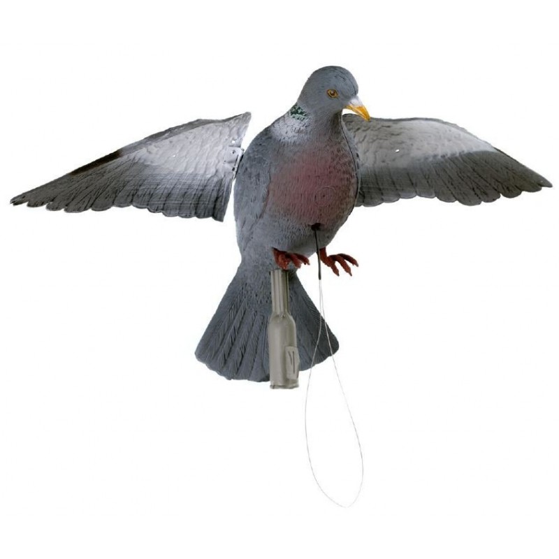 Colombaccio ali battenti German manuale Colombaccio ali battenti German manuale