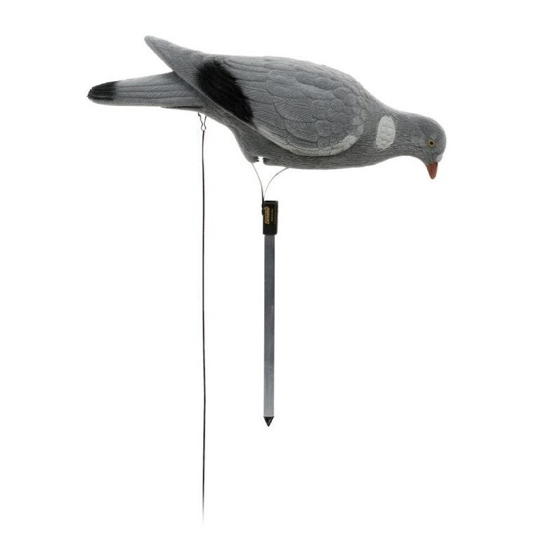 Colombaccio floccato beccante German manuale Colombaccio floccato beccante German manuale