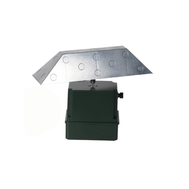 Allodoliera German Luce