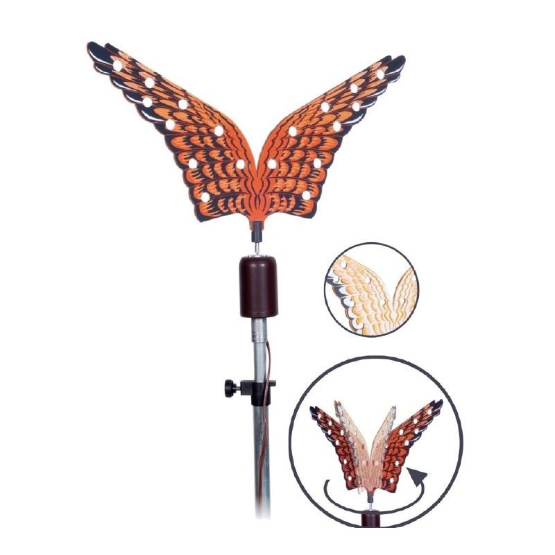 Allodoliera German Falco