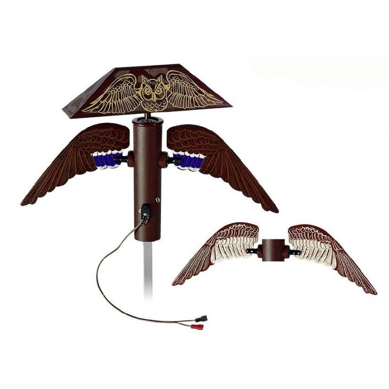 Allodoliera German Anatraia