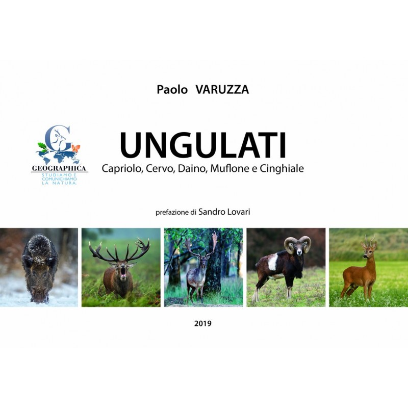 Ungulati: Capriolo, Cervo, Daino, Muflone e Cinghiale
