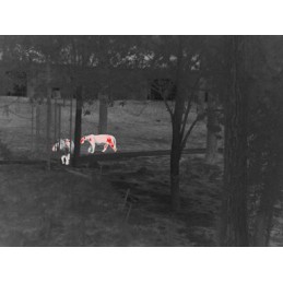 Termocamera palmare Guide Nano IR510 N1
