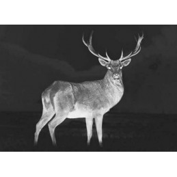 Termocamera Zeiss DTI 3/35