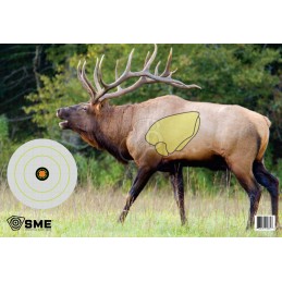 SME BERSAGLIO BULLSEYE 8" (CONF.3PZ)