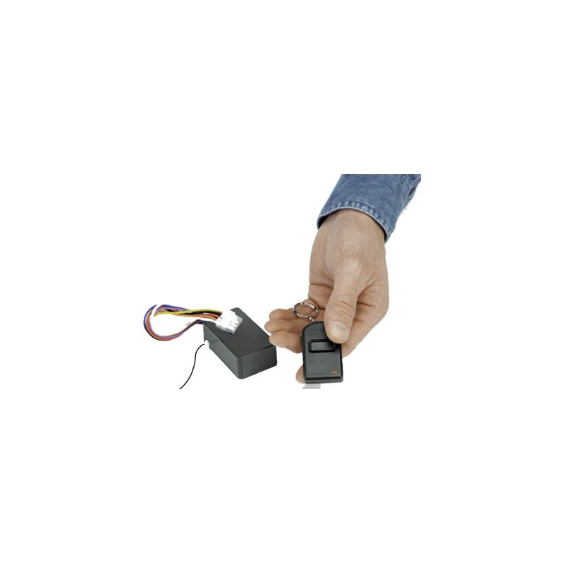 Telecomando a distanza per anatra Telecomando a distanza per anatra