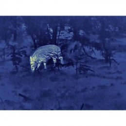 Visore termico Steiner Nighthunter H35