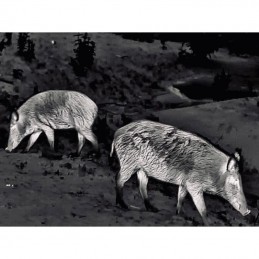 Visore termico Steiner Nighthunter H35