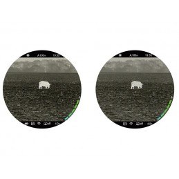 Ottica termica Infiray Tube TH50V2