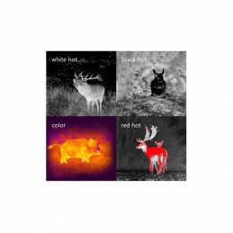 Termocamera da osservazione Pard TA62-25 Termocamera da osservazione Pard TA62-25