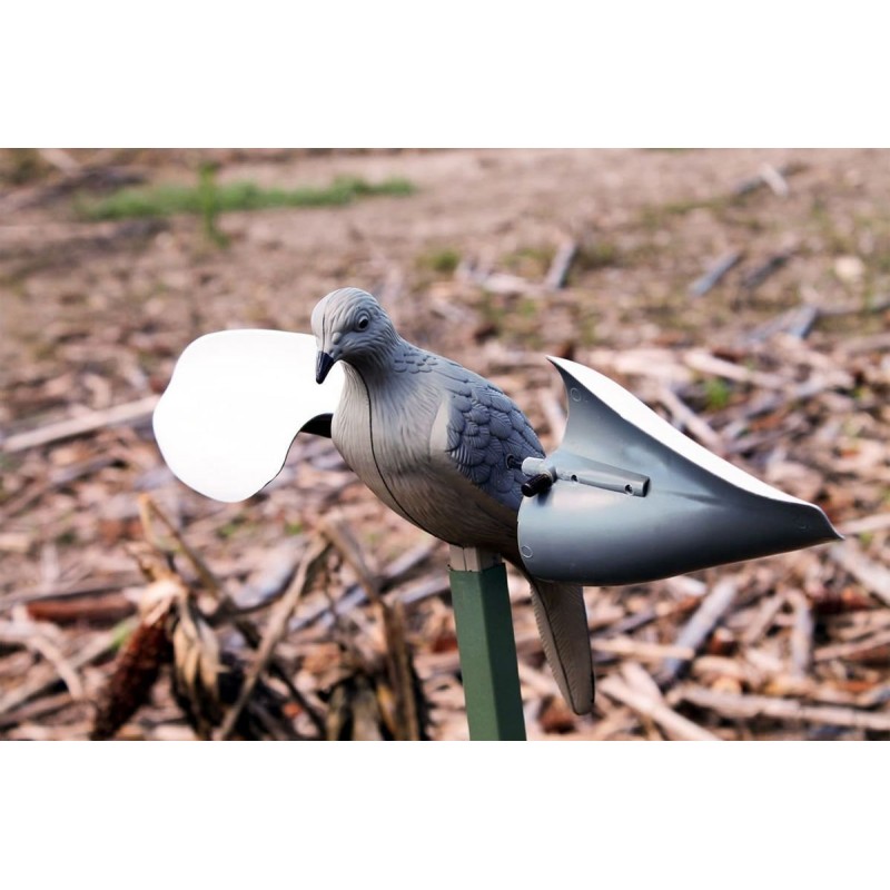 Mojo Wind Dove tortora a vento