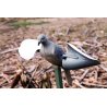 Mojo Wind Dove tortora a vento