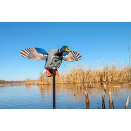 MOJO® Elite Series™ King Mallard germano maschio - Magnum