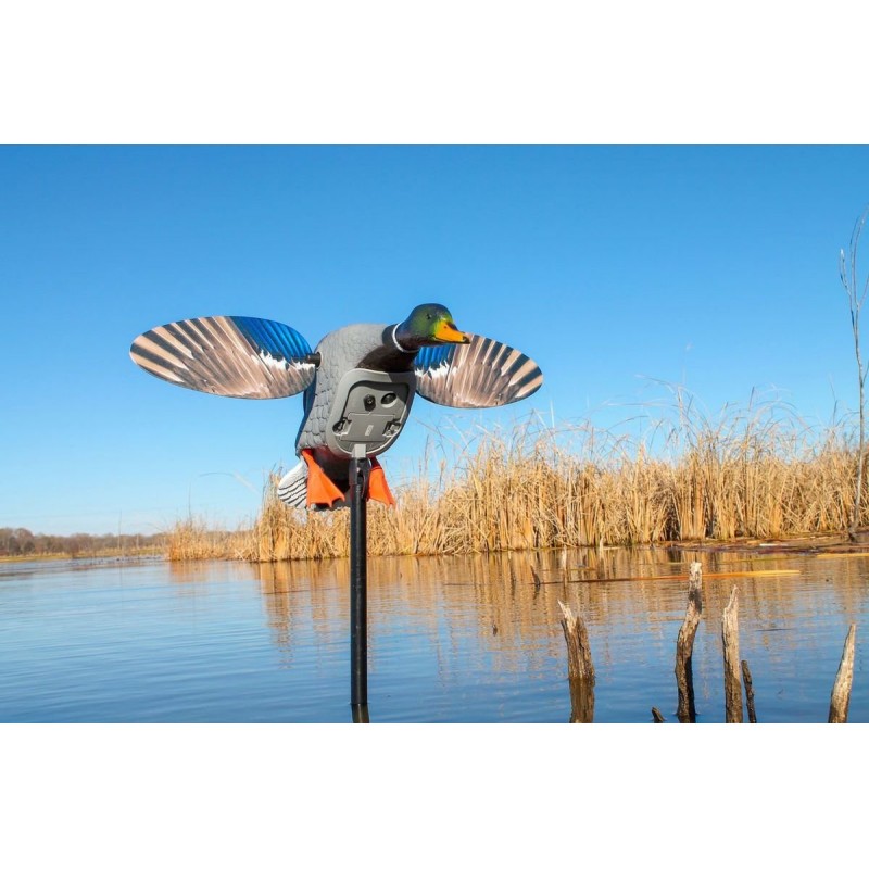 MOJO® Elite Series™ King Mallard germano maschio - Magnum