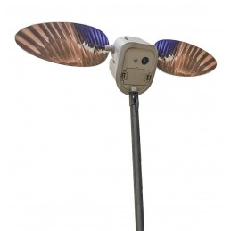 MOJO® Elite Series™ King Mallard germano maschio - Magnum