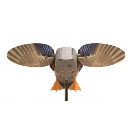 MOJO® Elite Series™ King Mallard germano maschio - Magnum