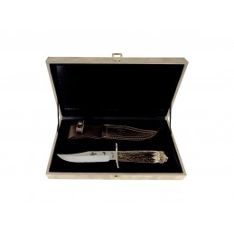 Coltello Muela AFRICAN LION STAG 16BF