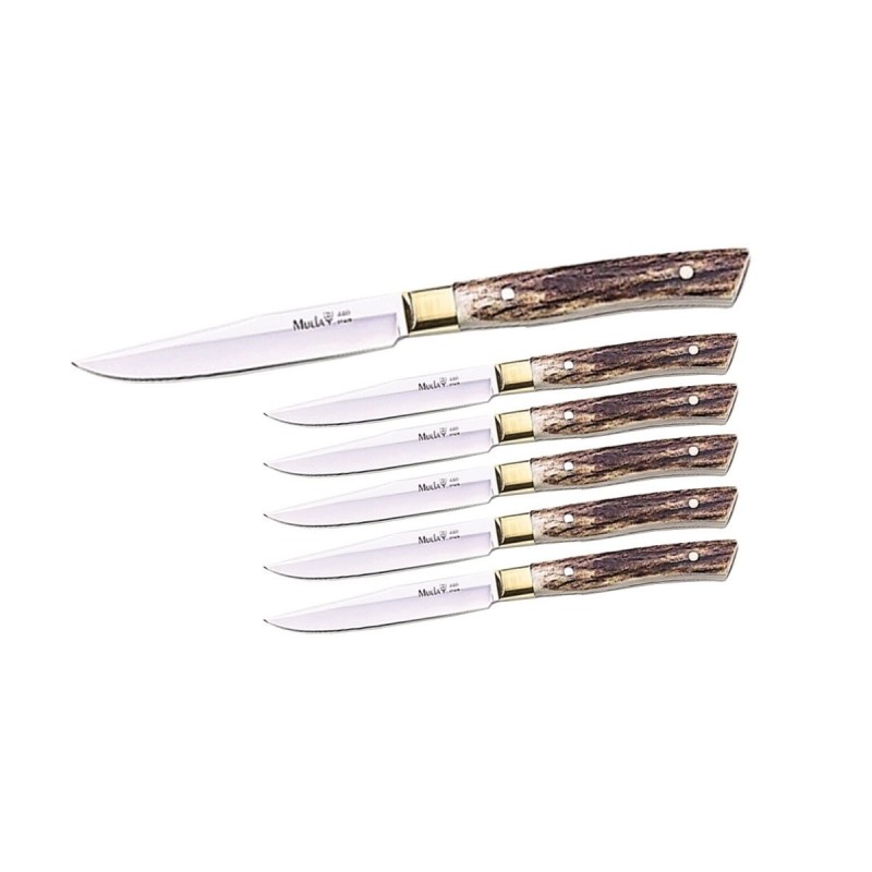 Coltello Muela SET BISTECCA 6 PZ STAG J-MA-10A