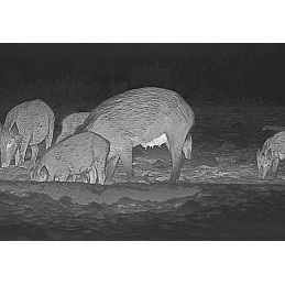 PROMO - Visore termico HIKMICRO FALCON FH35 Monocolo THERMAL - PROMO - Visore termico HIKMICRO FALCON FH35 Monocolo THERMAL -