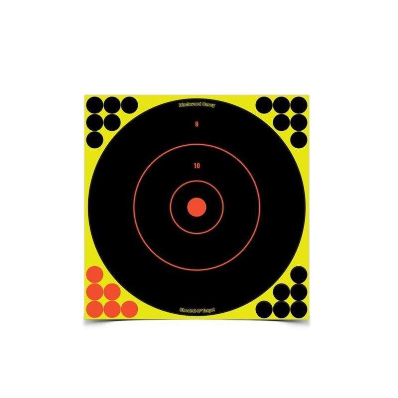 Birchwood BERSAGLIO Shoot NC 12″ Targa pack 12pcs – 288 Bullet