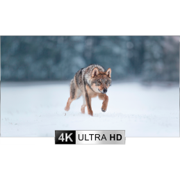 Ottica termica Pulsar THERMION DUO DXP55