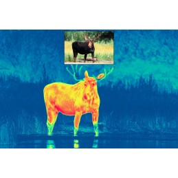 Ottica termica Pulsar THERMION DUO DXP55