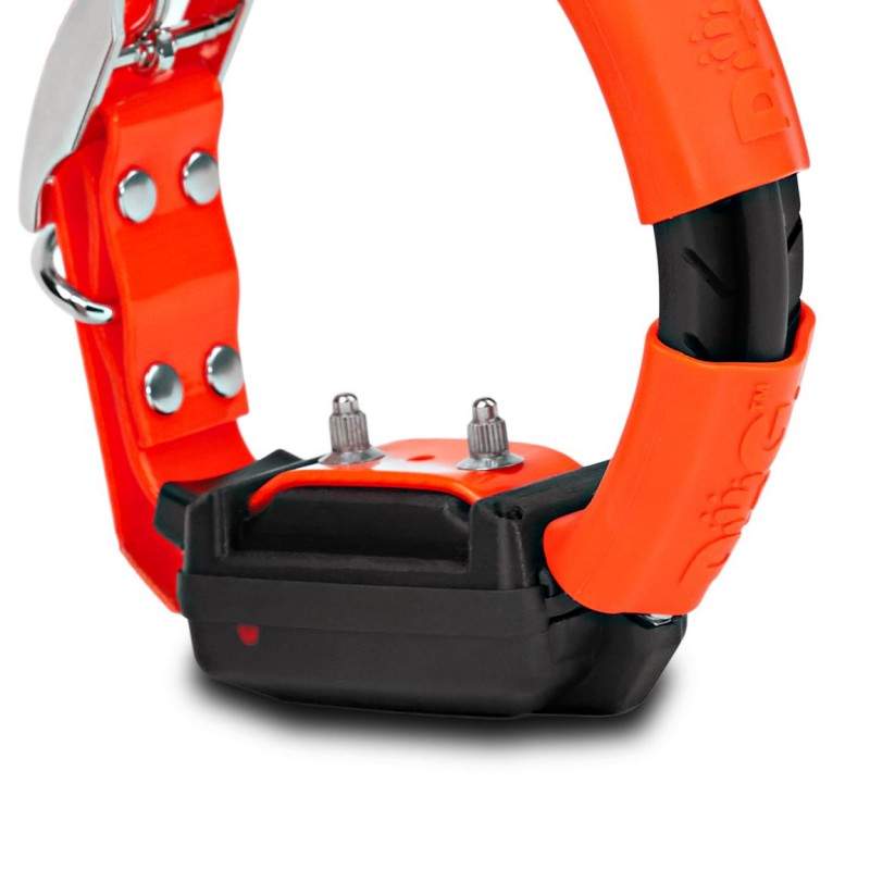 Modulo addestramento Dogtrace X30