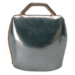 Campanaccio Chamonix 1