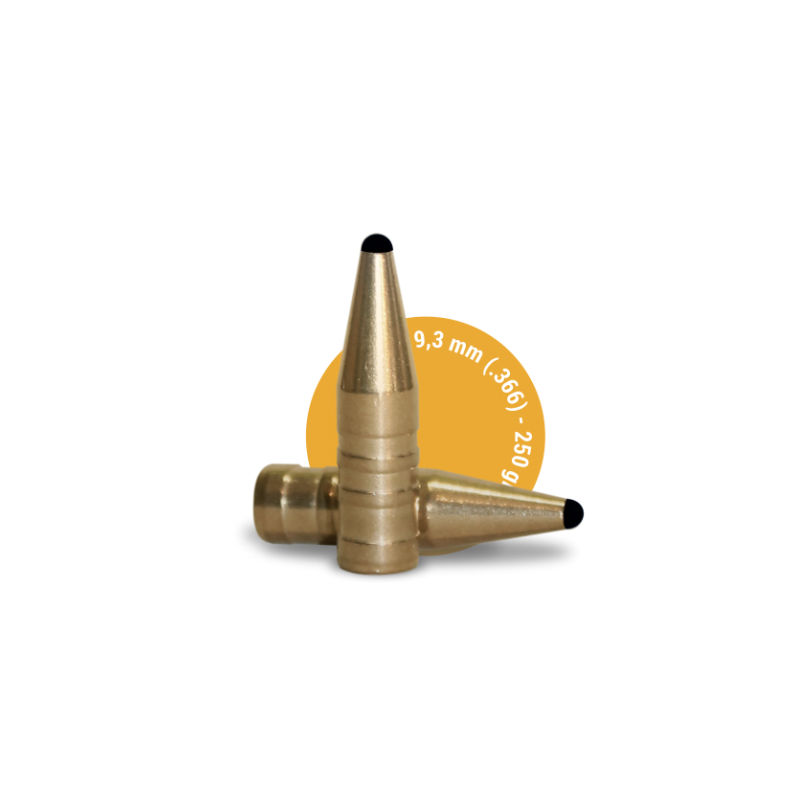 Fox Classic Hunter Bullets 9,3 mm (.366 ) – 250 gr