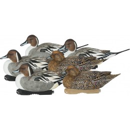 KIT 6 stampi codone GHG Pro-Grade Gadwall Decoys
