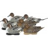 KIT 6 stampi codone GHG Pro-Grade Gadwall Decoys