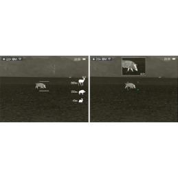 Saldo Termocamera DALIB