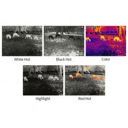 Saldo Termocamera DALIB