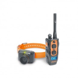 Collare Educativo e beeper Dogtra 2600 T&B