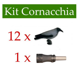 Kit 8 stampi cornacchia + richiamo Ardesi S5 Croak