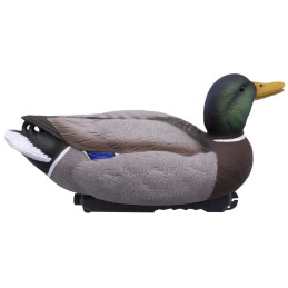 KIT 12PZ STAMPI FINAL APPROACH GERMANO MASCHIO E FEMMINA KIT 12PZ STAMPI FINAL APPROACH GERMANO MASCHIO E FEMMINA